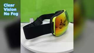 Large Spherical Ski Goggles Double Anti Fog